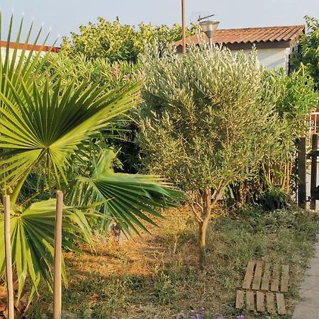 Chalet En Bois "Le Libellule" Sigean Esterno foto